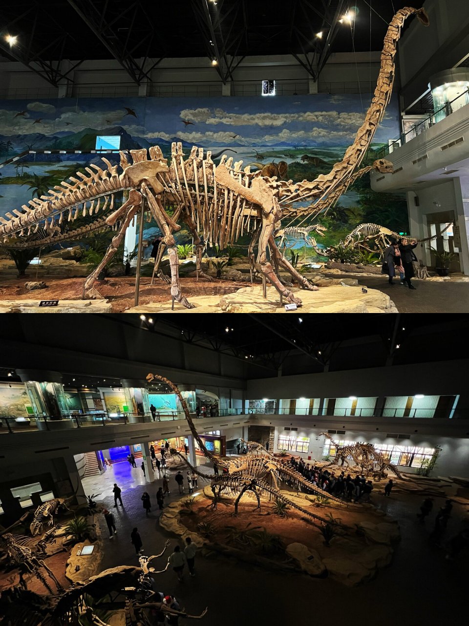 自贡恐龙博物馆位于四川省自贡市的东北部,1987年建成开放.