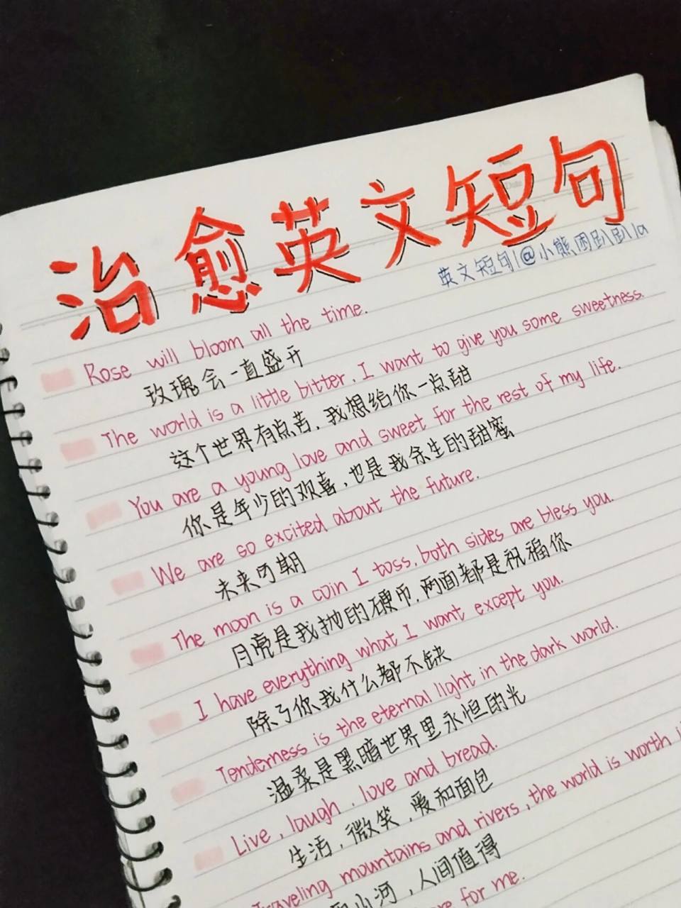 治愈英文短句丨手写文案 rose will bloom all the time.