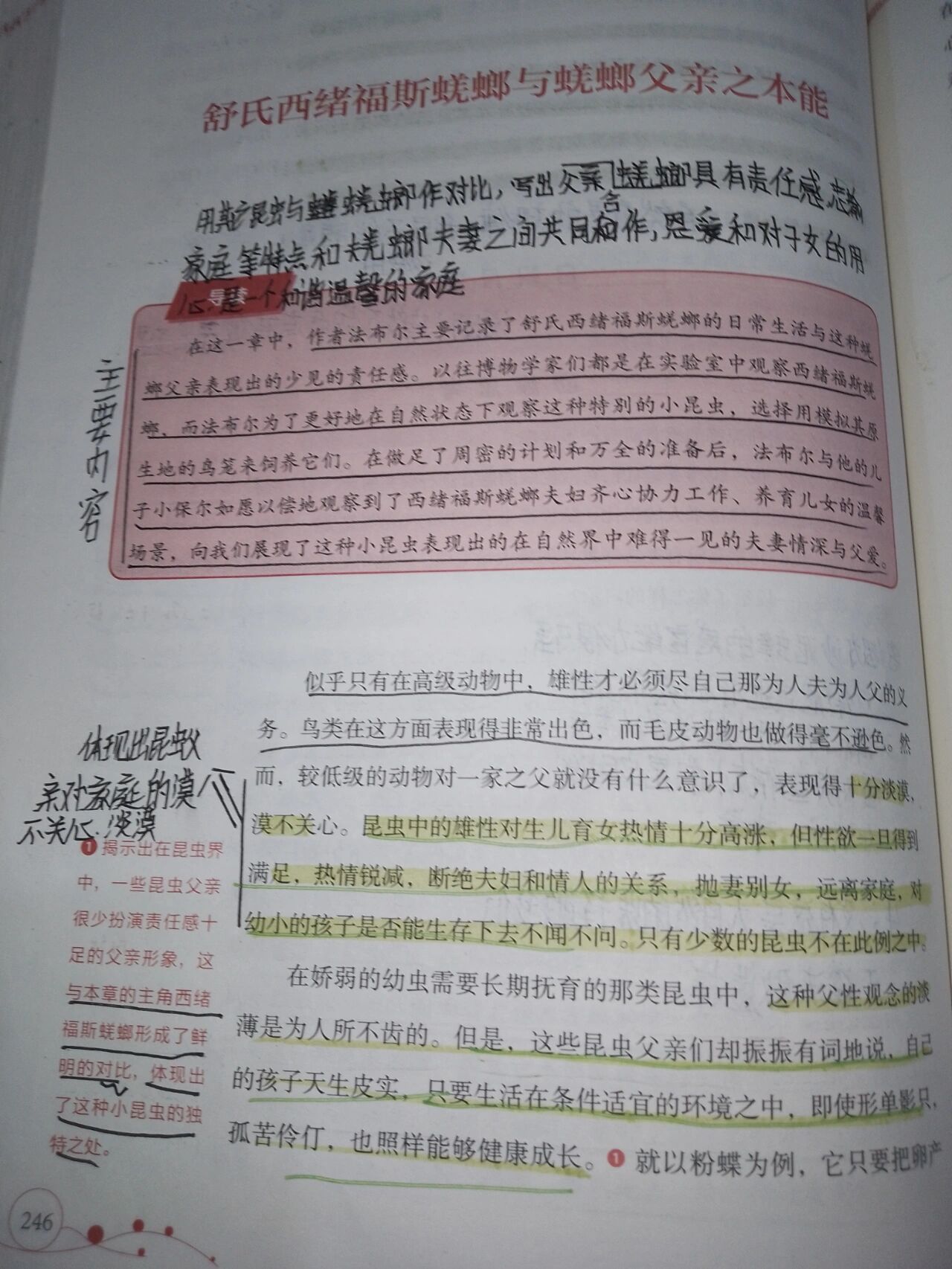 《昆虫记》第三十六章 舒氏西绪福斯蜣螂与蜣螂父亲之本能{上}