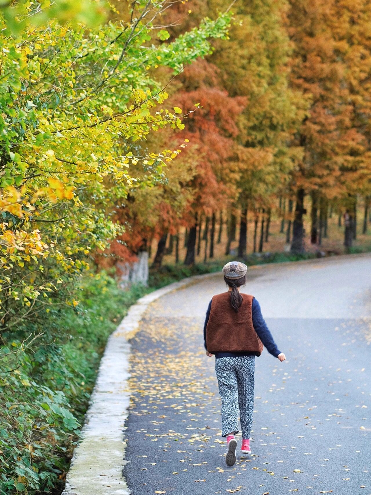 走路背影图片秋天穿衣背影深秋的散步图唯美图片大全治愈背影真实秋天