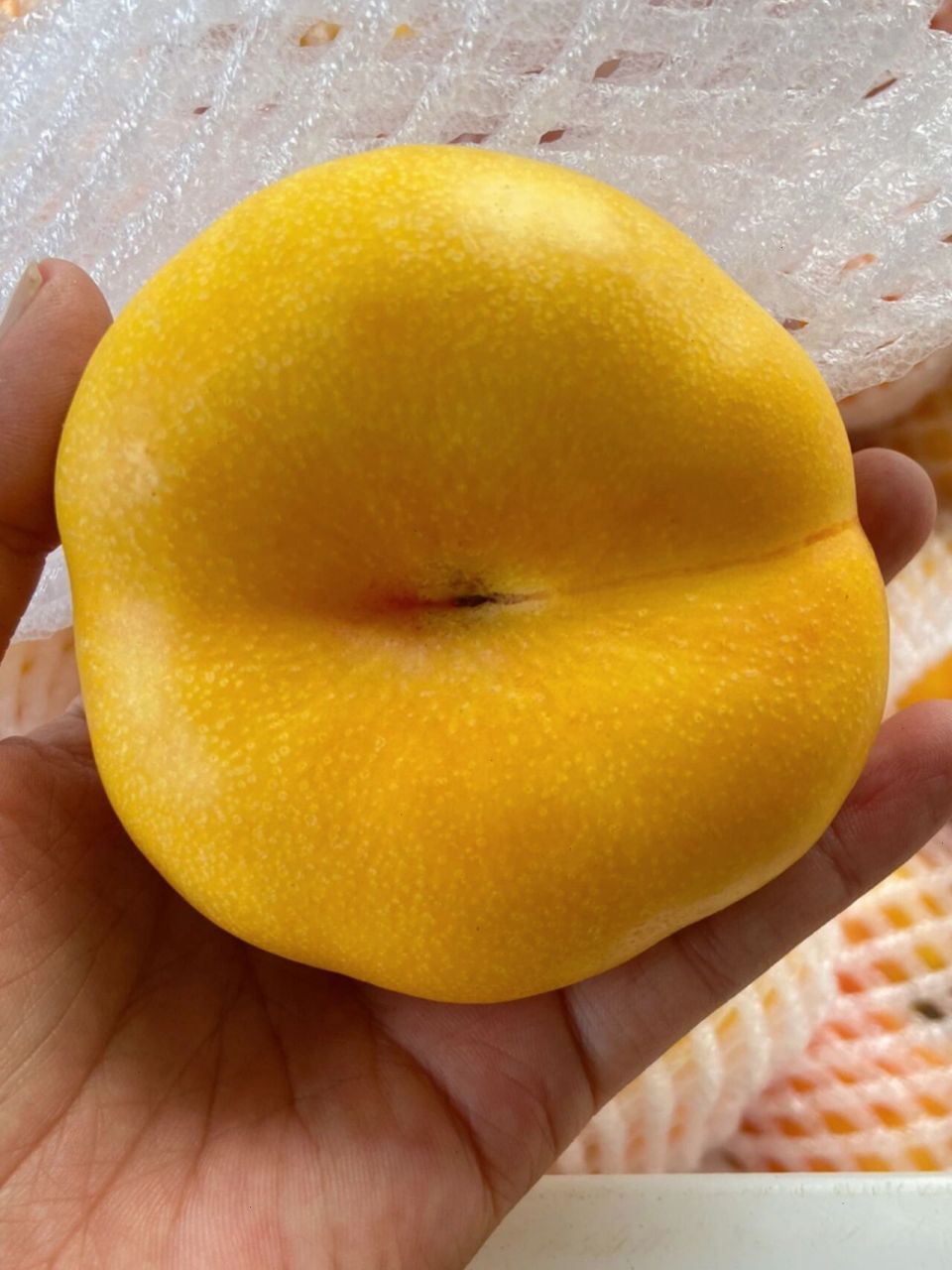 一些关于黄油蟠桃618的说明~ 黄油蟠桃六月20左右开始成熟,马上迎来