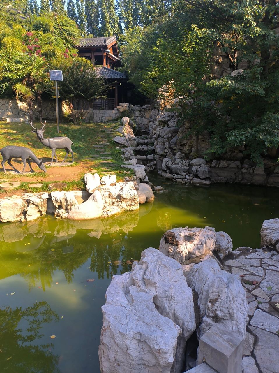 潍坊人民公园91 生活并无深意  自己喜欢便是真谛.