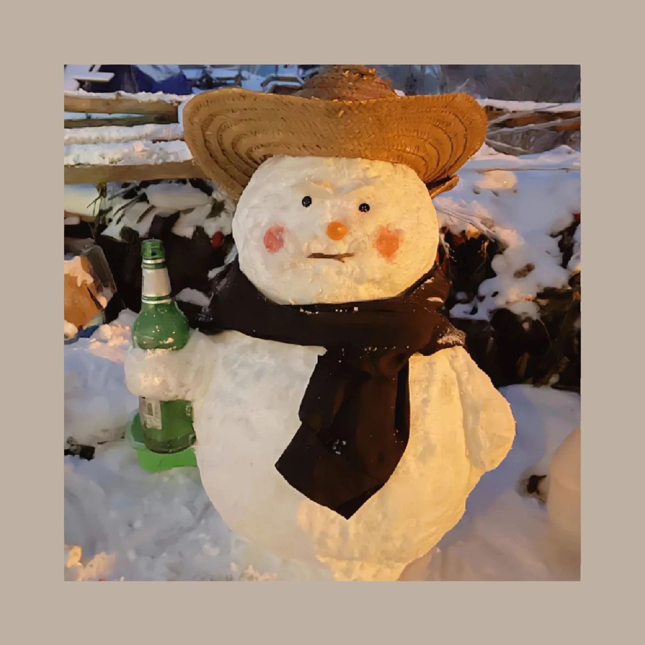 今日微信头像 | 12.07 冬日,裹紧围巾和厚毛衣 做个毛茸茸的人吧