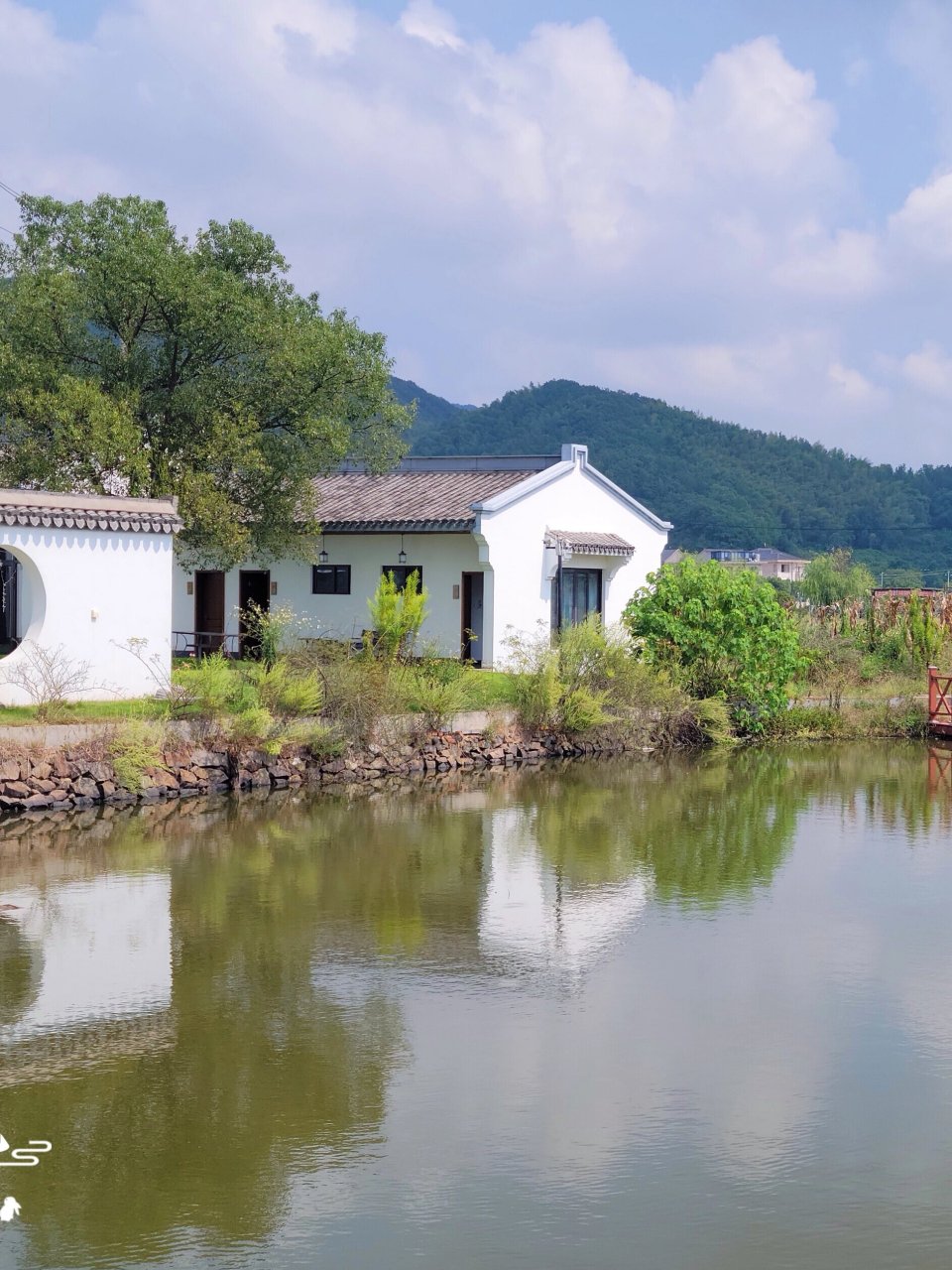 象山高泥村,堪称美丽乡村的天花板,值得游 浙江省宁波市象山县西沪港