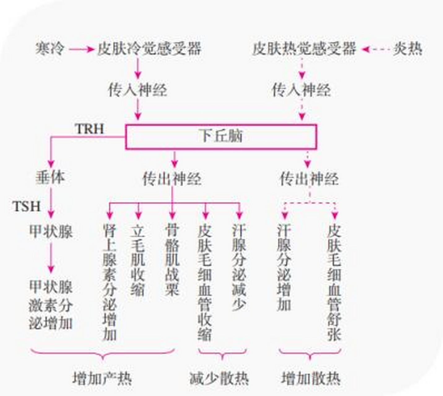 冰雪运动思维导图图片