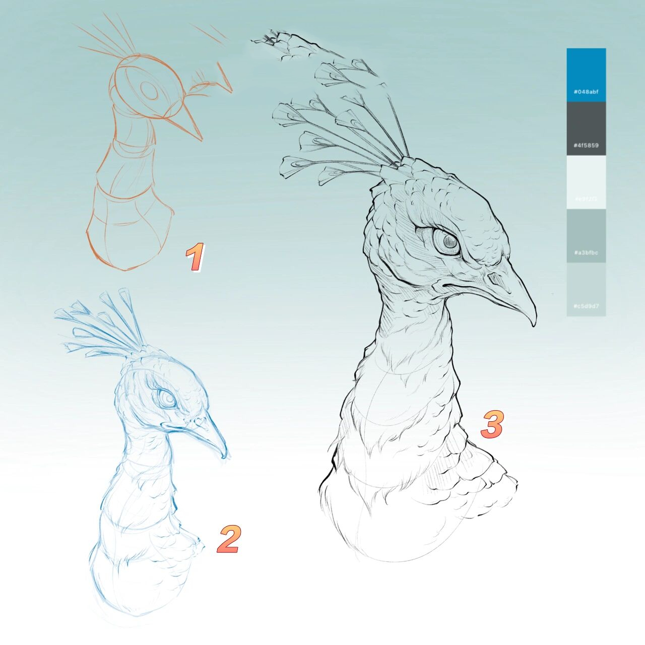 08孔雀头部分步骤画法教程(2)08 纹身师日常绘画打卡 孔雀头部分