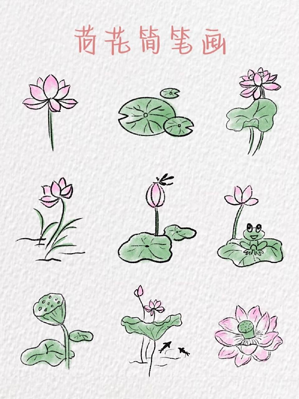 荷花简笔画～ "小荷才露尖尖角,早有蜻蜓立上头" 今日份荷花已送达 是