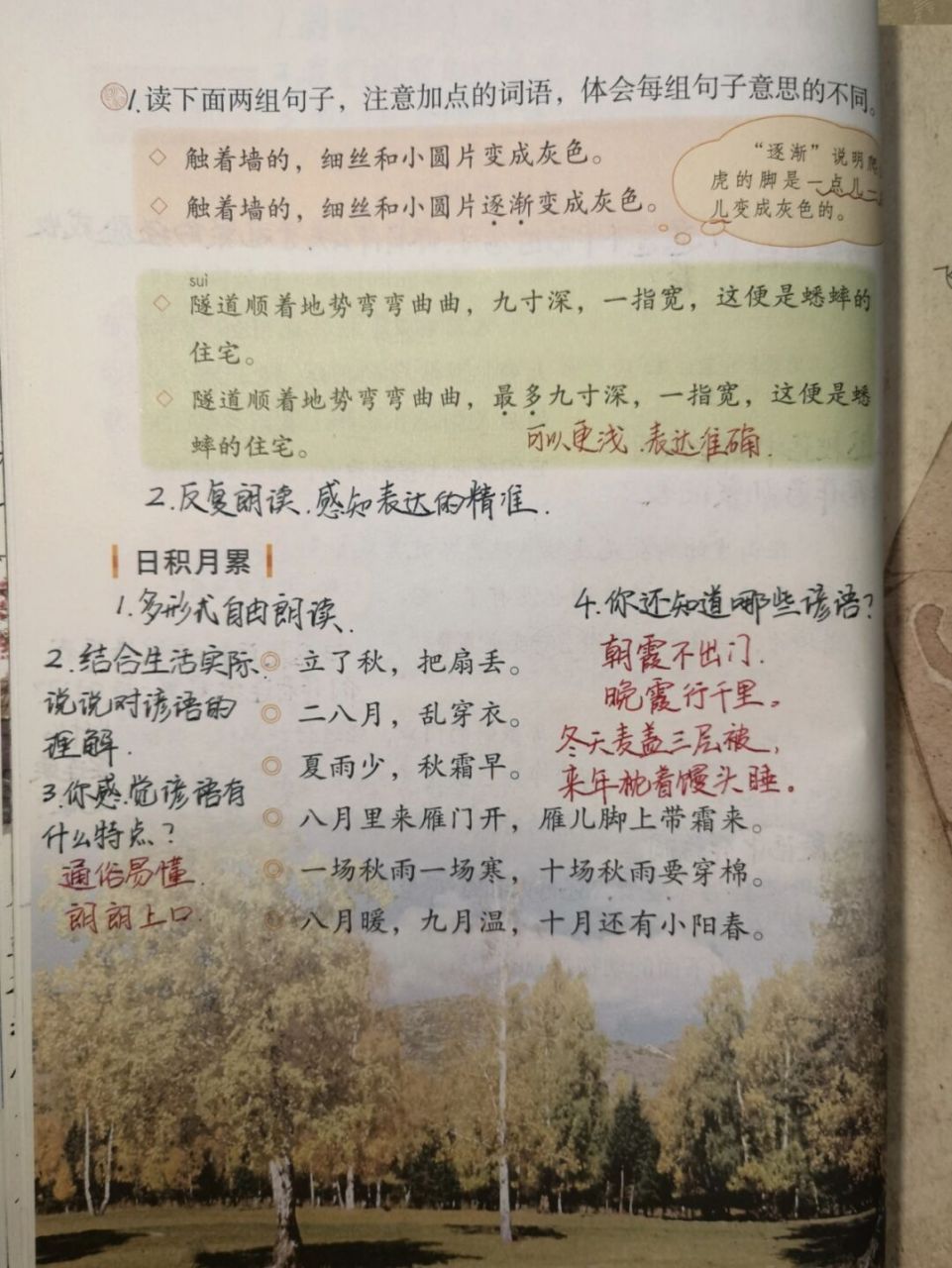 【备课笔记】四上语文园地三