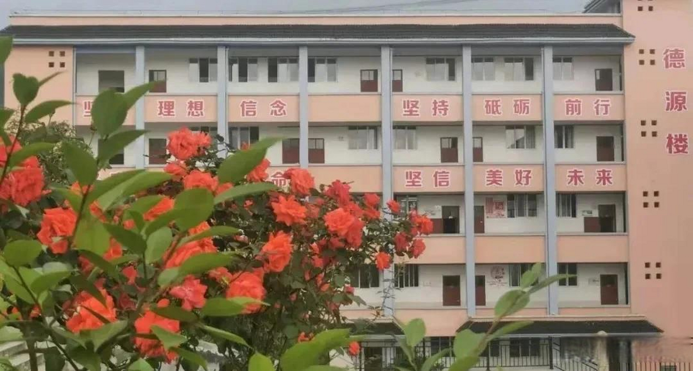 4】"年年蟾宫摘桂,岁岁中考辉煌",雨河初级中学2022年中考成绩出炉