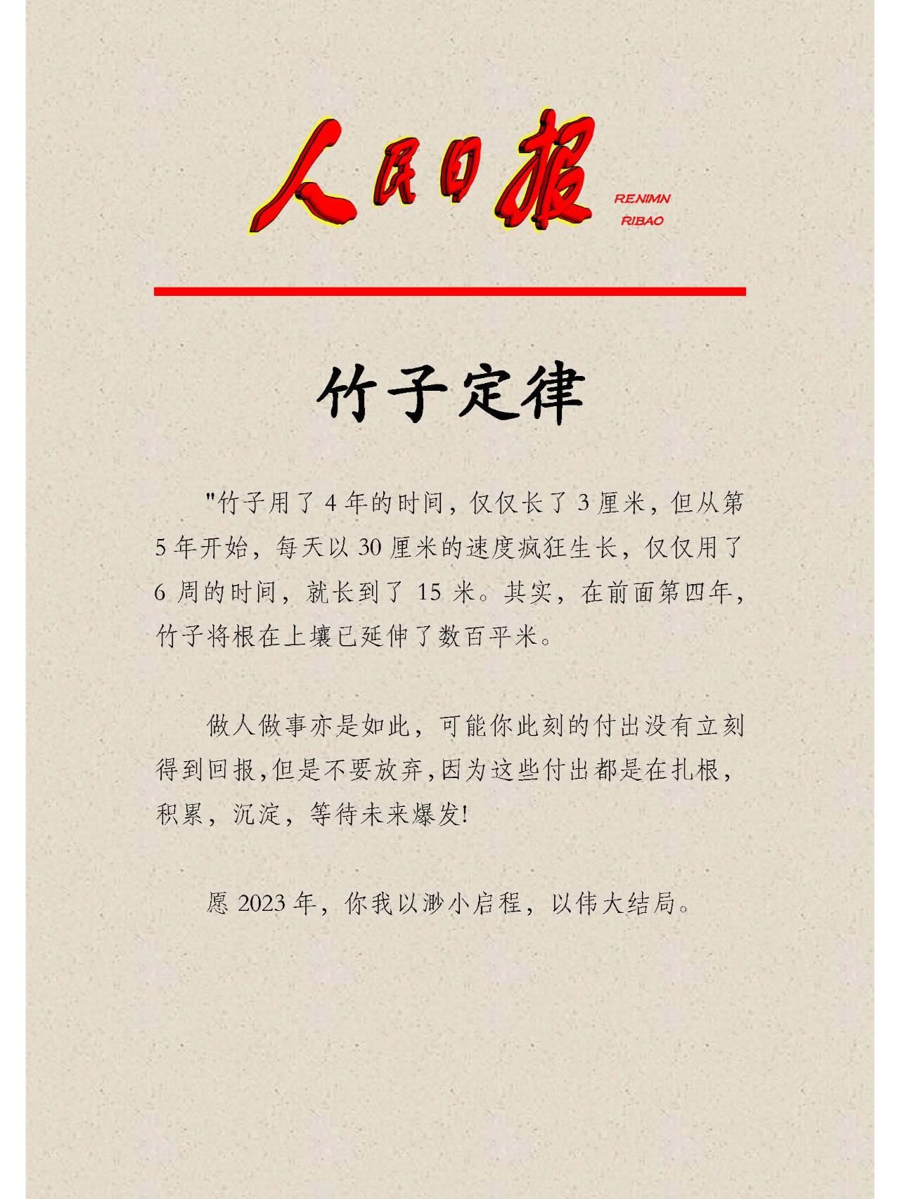竹子定律——人民金句摘录 扎根,积累,沉淀,等待未来爆发!
