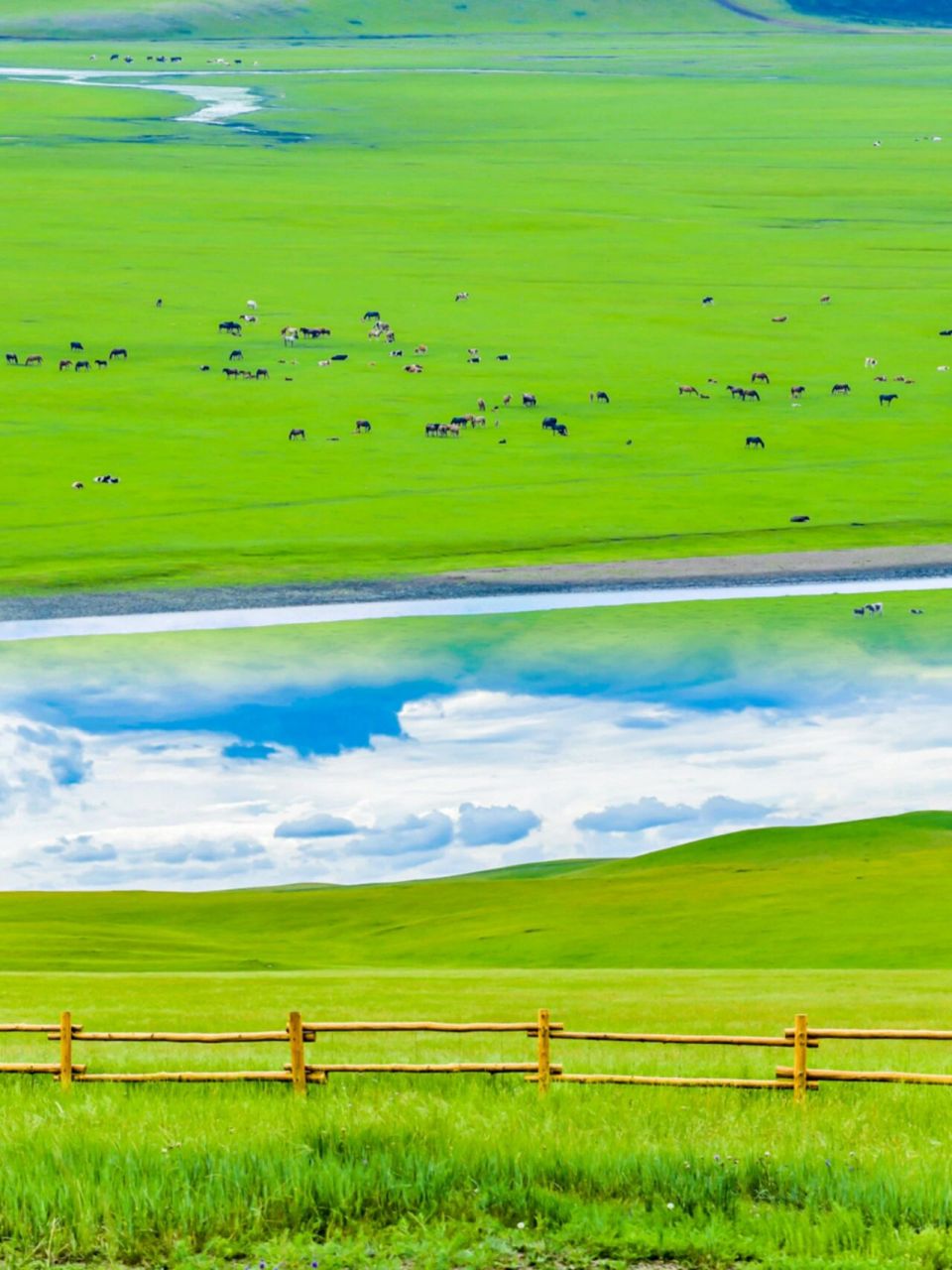 世界最美的风景草原图片