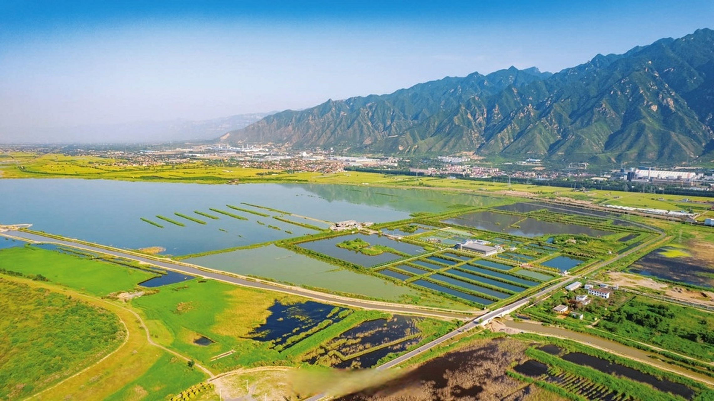 【水天一色 风景宜人】5月14日,永济市伍姓湖湿地公园水天一色,绿意
