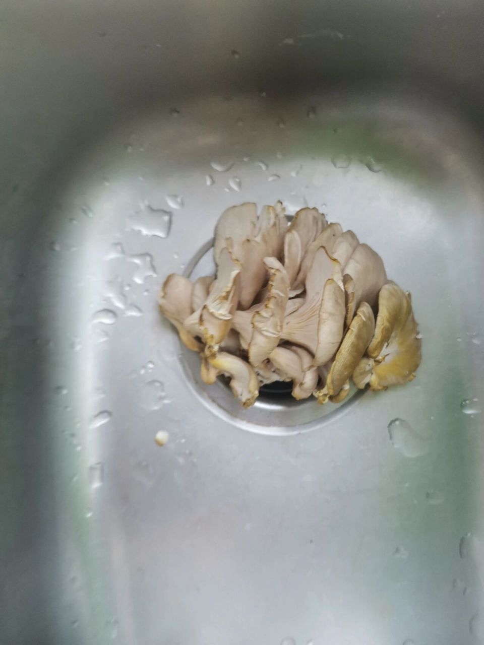 昨天买的平菇,今天发现变黄了,之前没有这种状况.