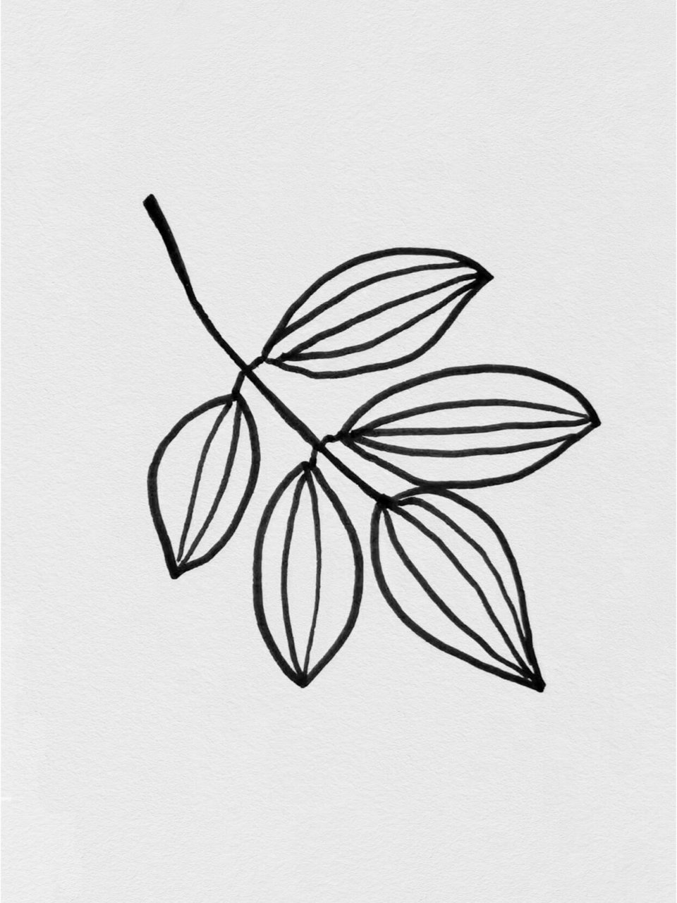不同的叶子简笔画 用线勾勒,创意自由. 轻松学叶子绘画,绘出童心美!