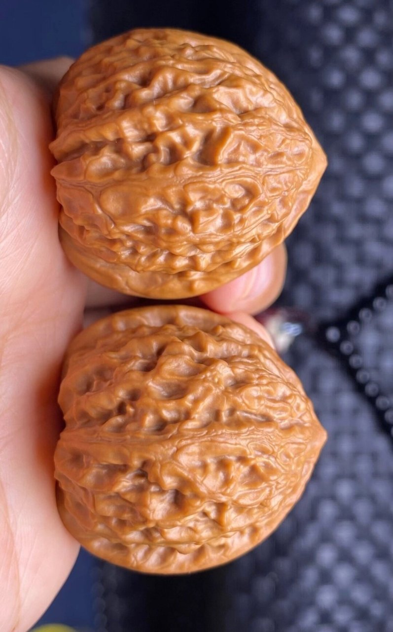 文玩核桃金牛!非常火热! 火热的品种,全品,边35/35.5肚34高36