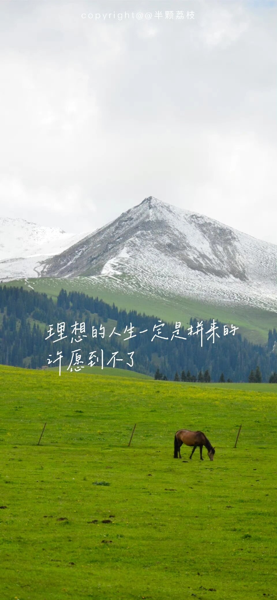 分享一波考研上岸壁纸91