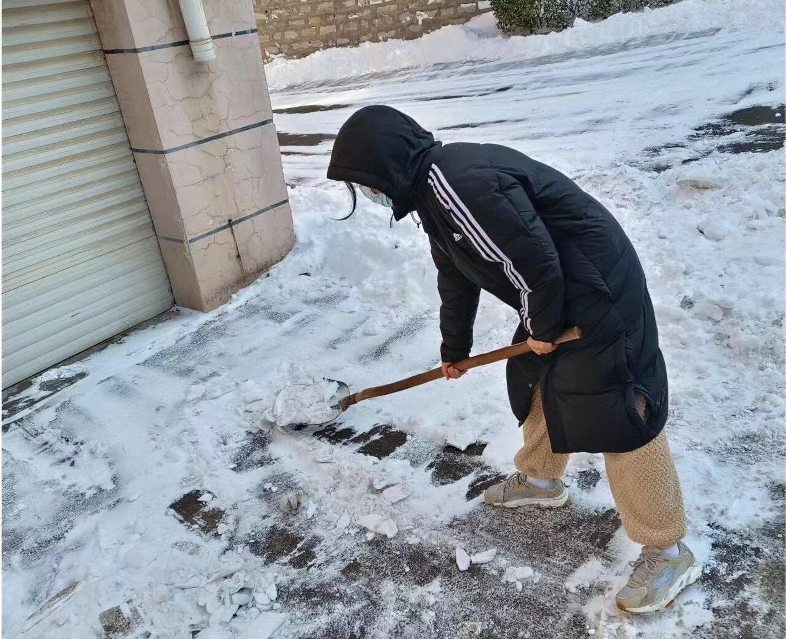 大雪纷飞迎新年图片