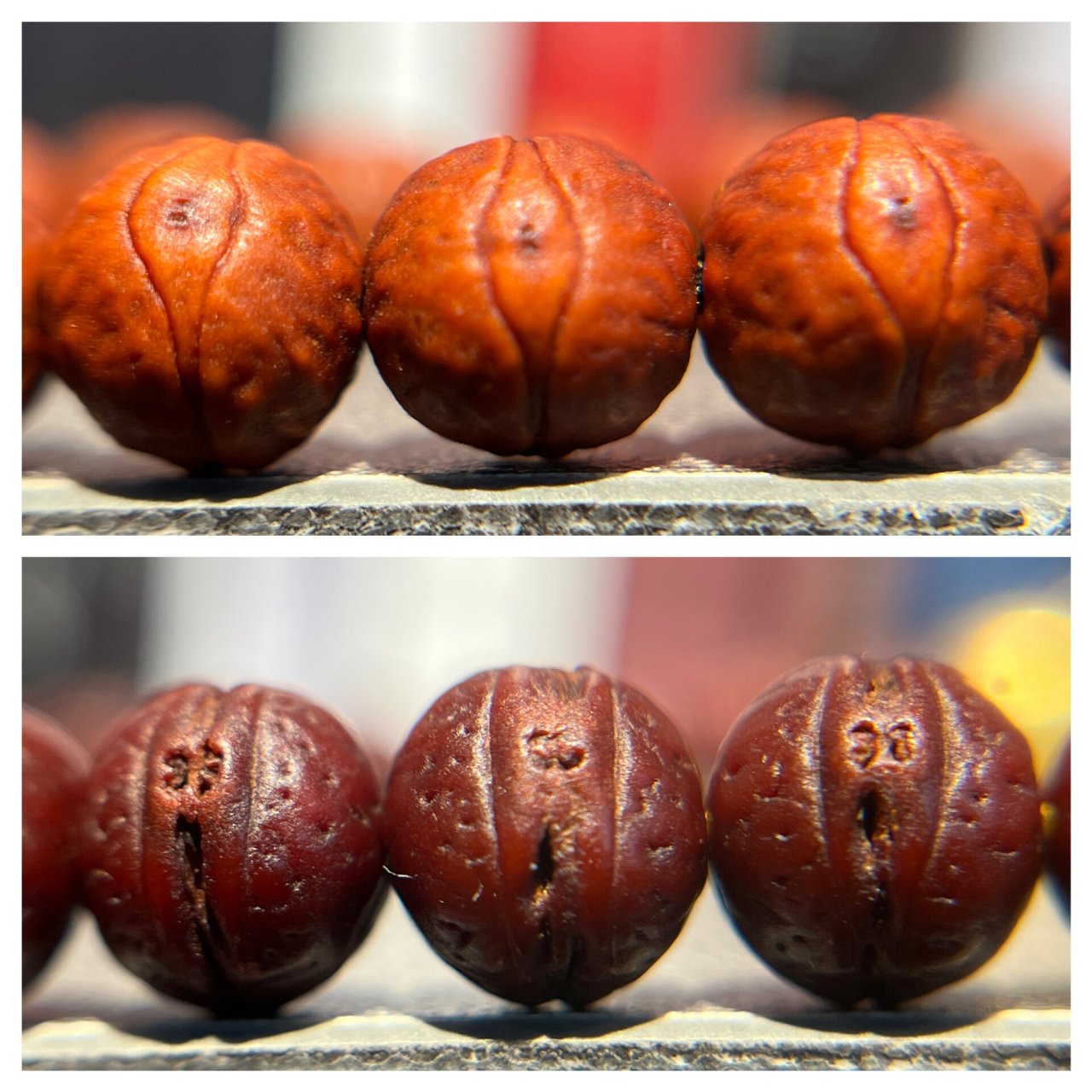 酸枣核与凤眼菩提的对比图 图1:酸枣核的纹理较浅且会有点状突起 凤眼