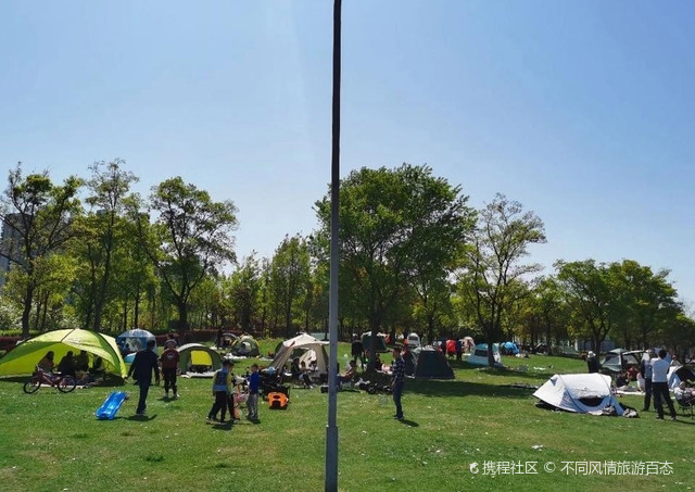 上海嘉定紫气东来公园吸引各地游客沉醉