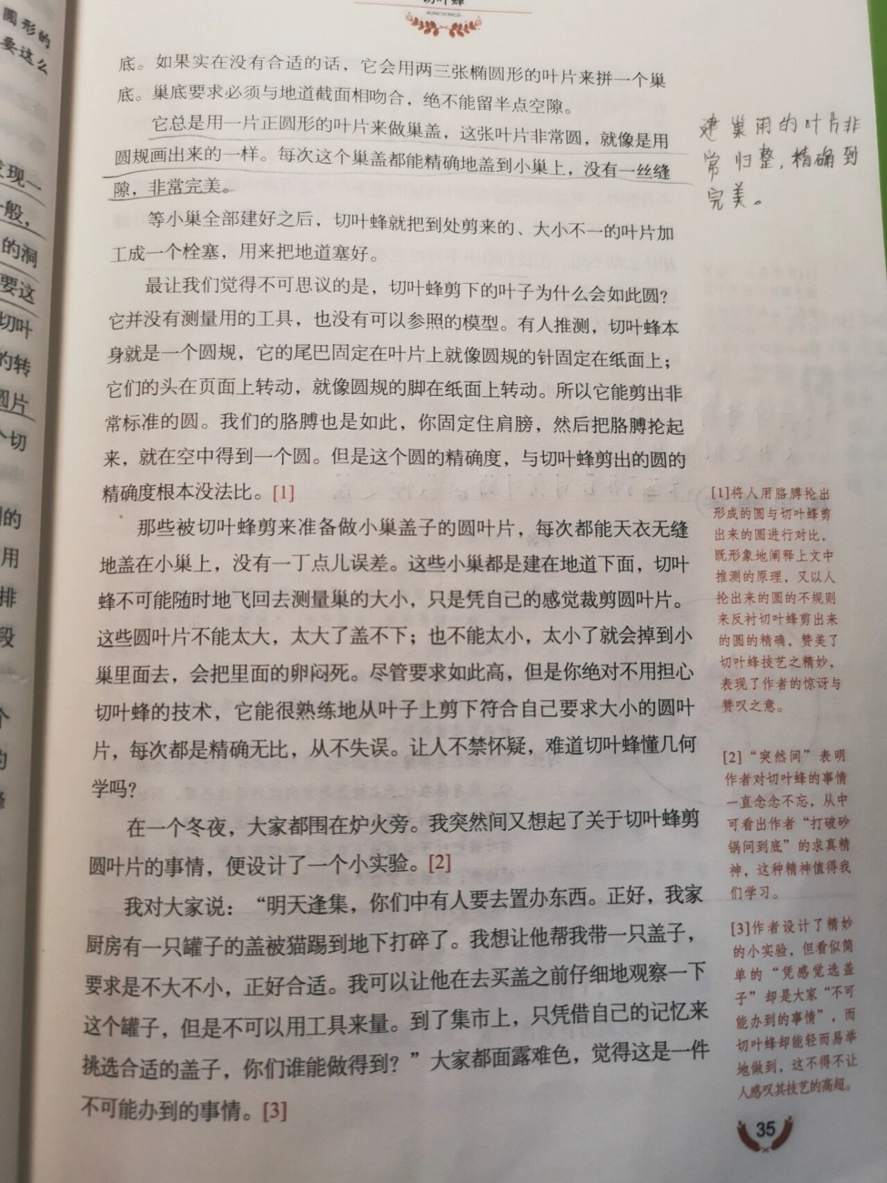 昆虫记——切叶蜂
