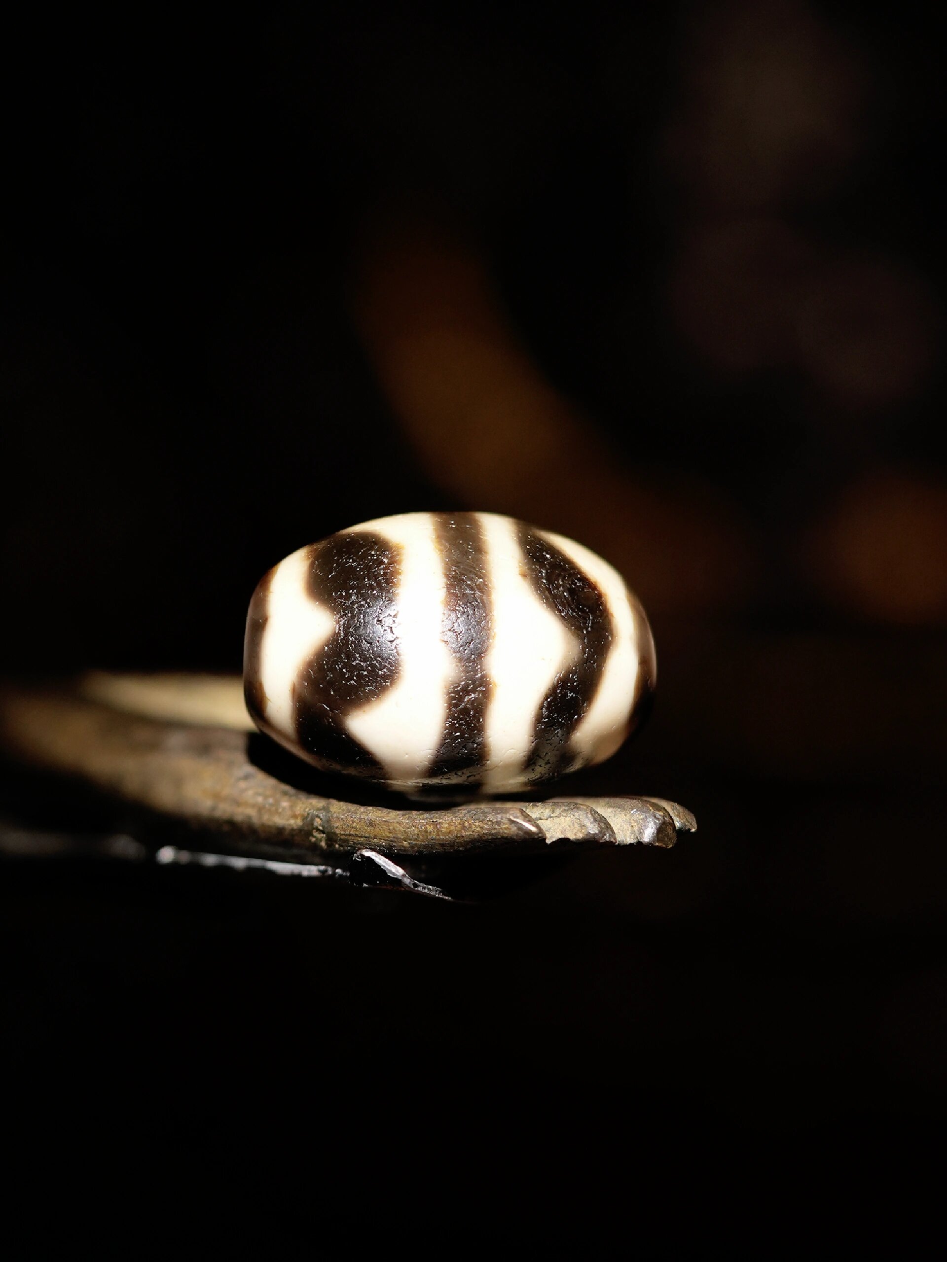 至纯双线虎牙达洛天珠 | 至圆至净 智慧庇佑 95"达"藏语意为虎,"洛"