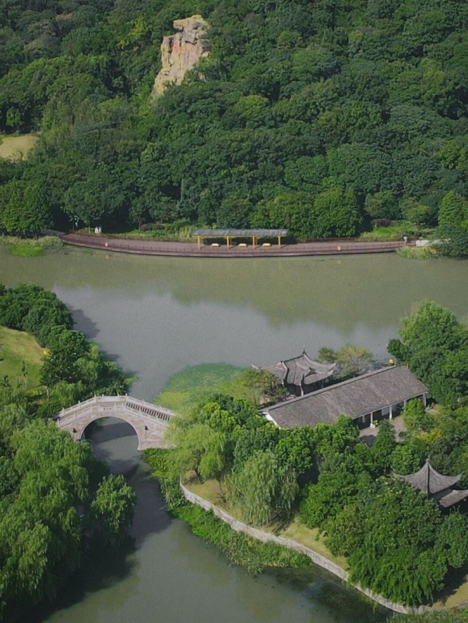 绍兴镜湖湿地公园Ⅰ湖光摇碧山 87镜湖湿地公园是浙江省首个国家级