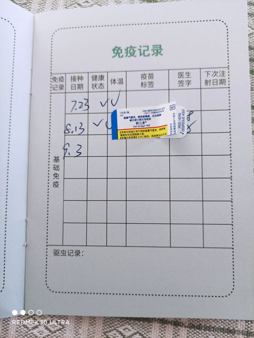 粗心主人把小猫疫苗本弄丢了!