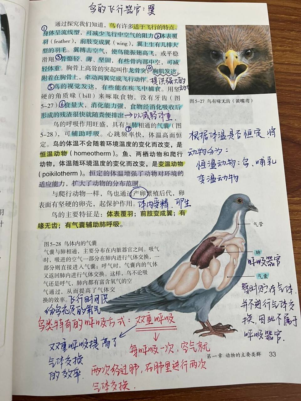 人教版 初中生物 八上 《鸟》 #生物科学# #手写笔记# #初中生物