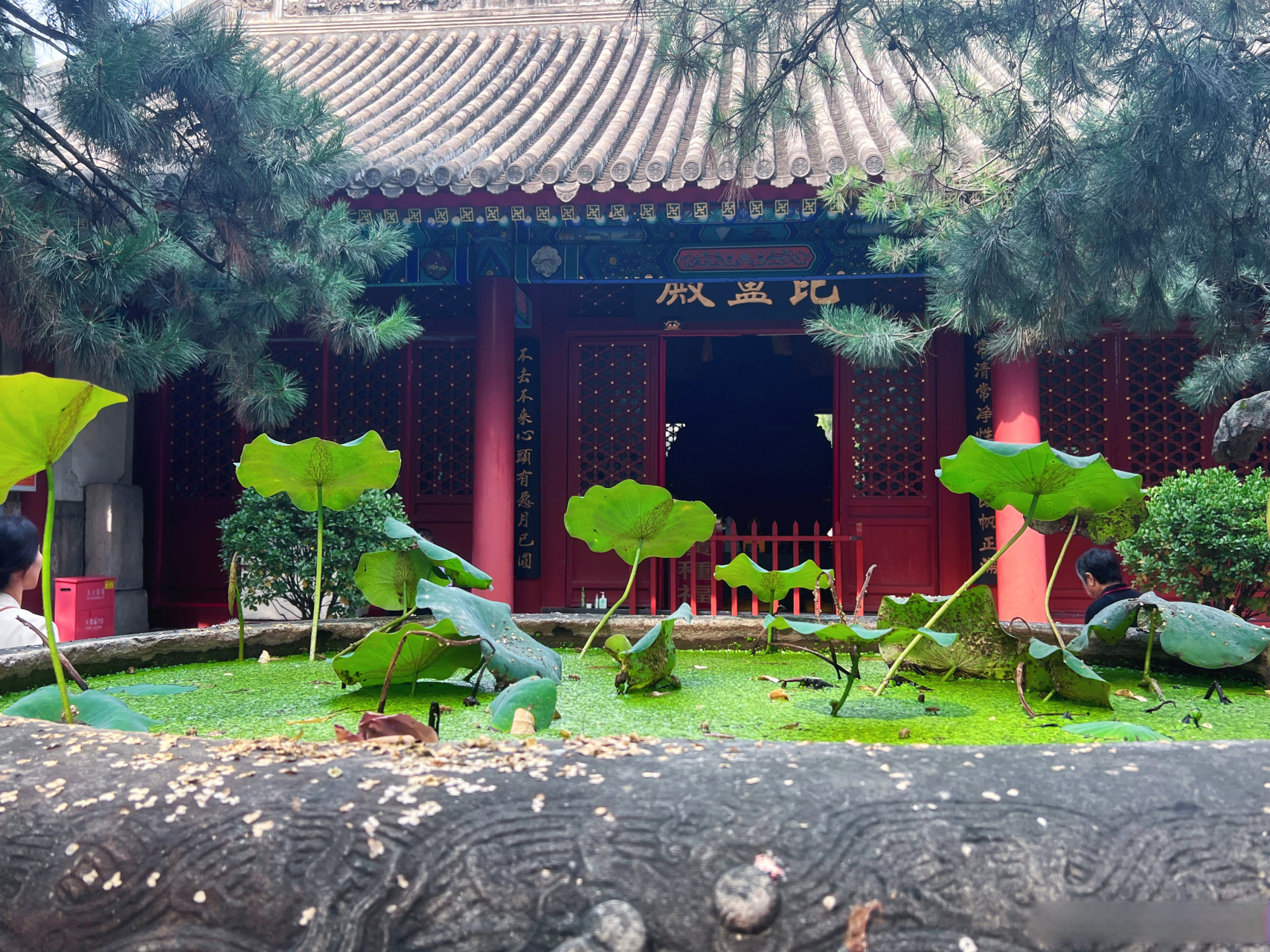 法源寺,一座开放的佛学院.与其他香火旺的寺庙不同,这里还有袅袅书香.