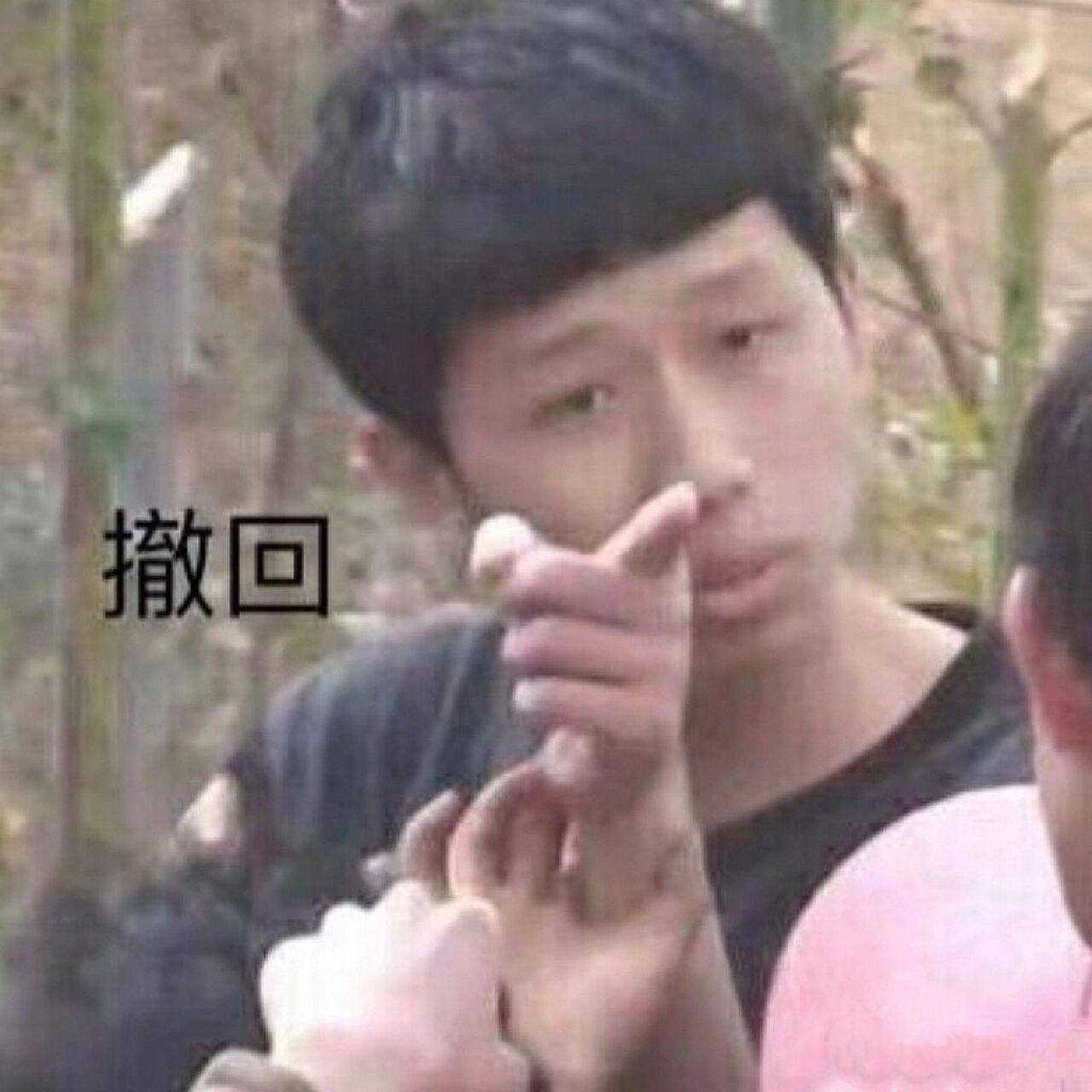 撤回表情包在此 都在问我,大家自取吧啊哈哈哈哈