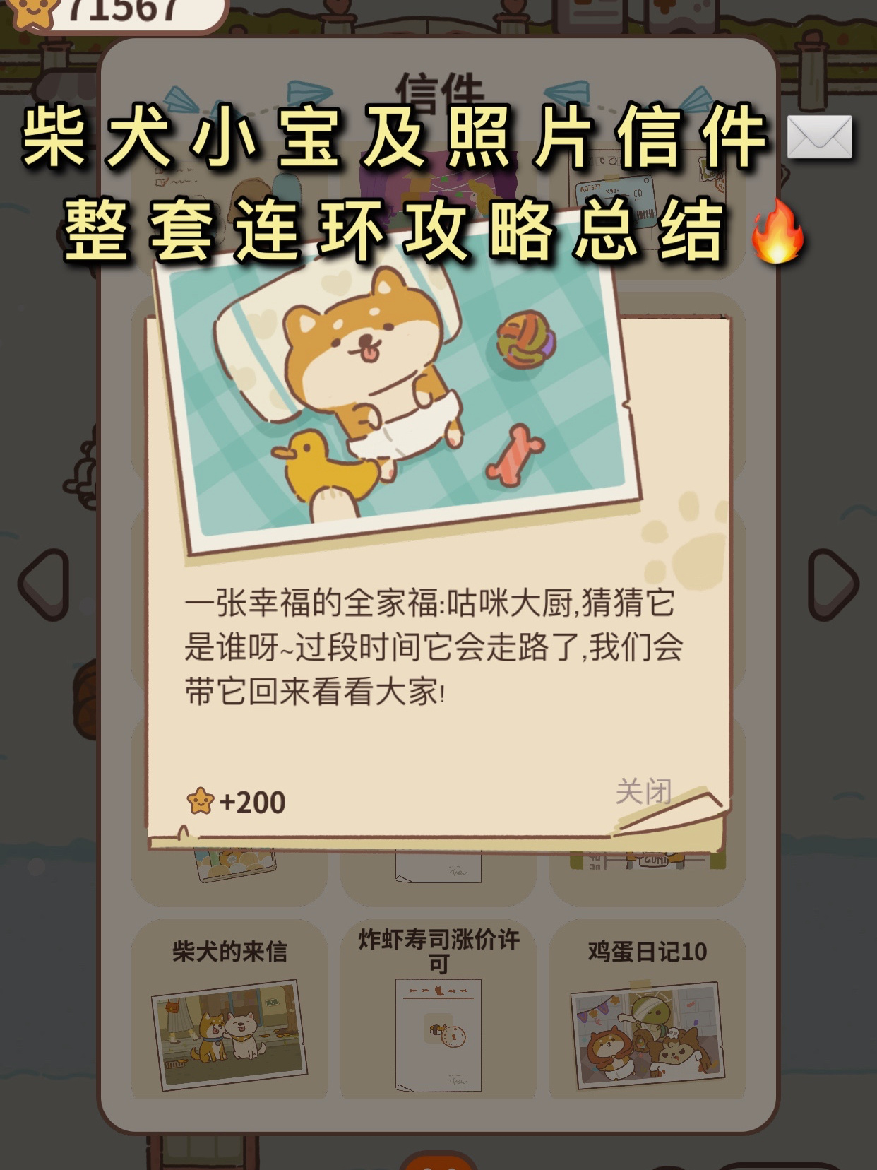 柴犬小宝照片获得流程图片