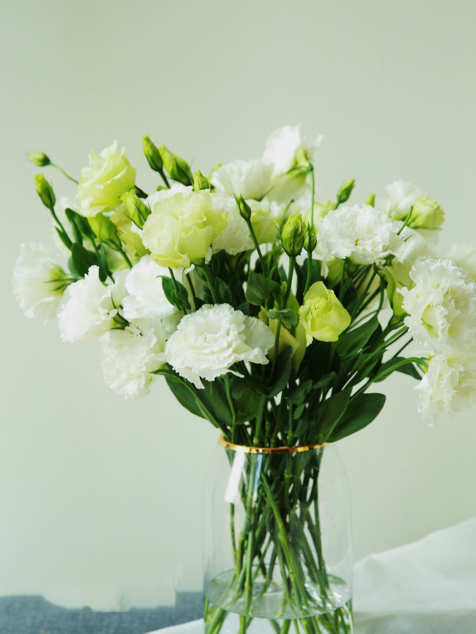 洋桔梗|10元一扎桔梗花,清新夏日搭配 98名称:洋桔梗 植物分类:龙胆