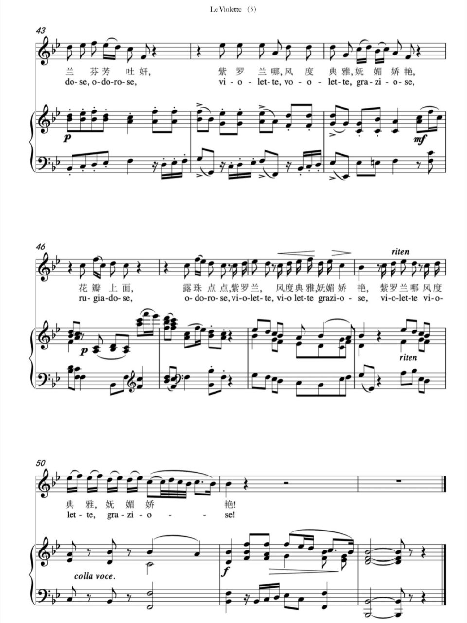 声乐正谱|紫罗兰正谱 意大利歌曲紫罗兰正谱 需要的宝贝记得7815