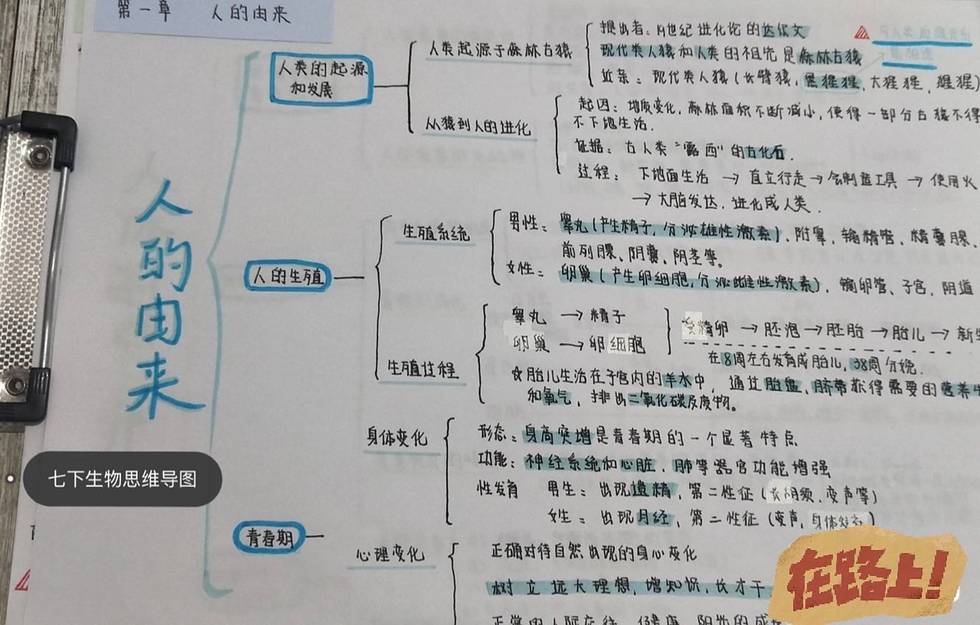 七下91生物思维导图94分享 七年级下册生物第一单元思维导图90