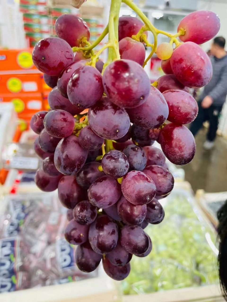 又脆又甜香味又浓 玫瑰香无籽红提99 老好吃了!又脆又甜香味又浓!