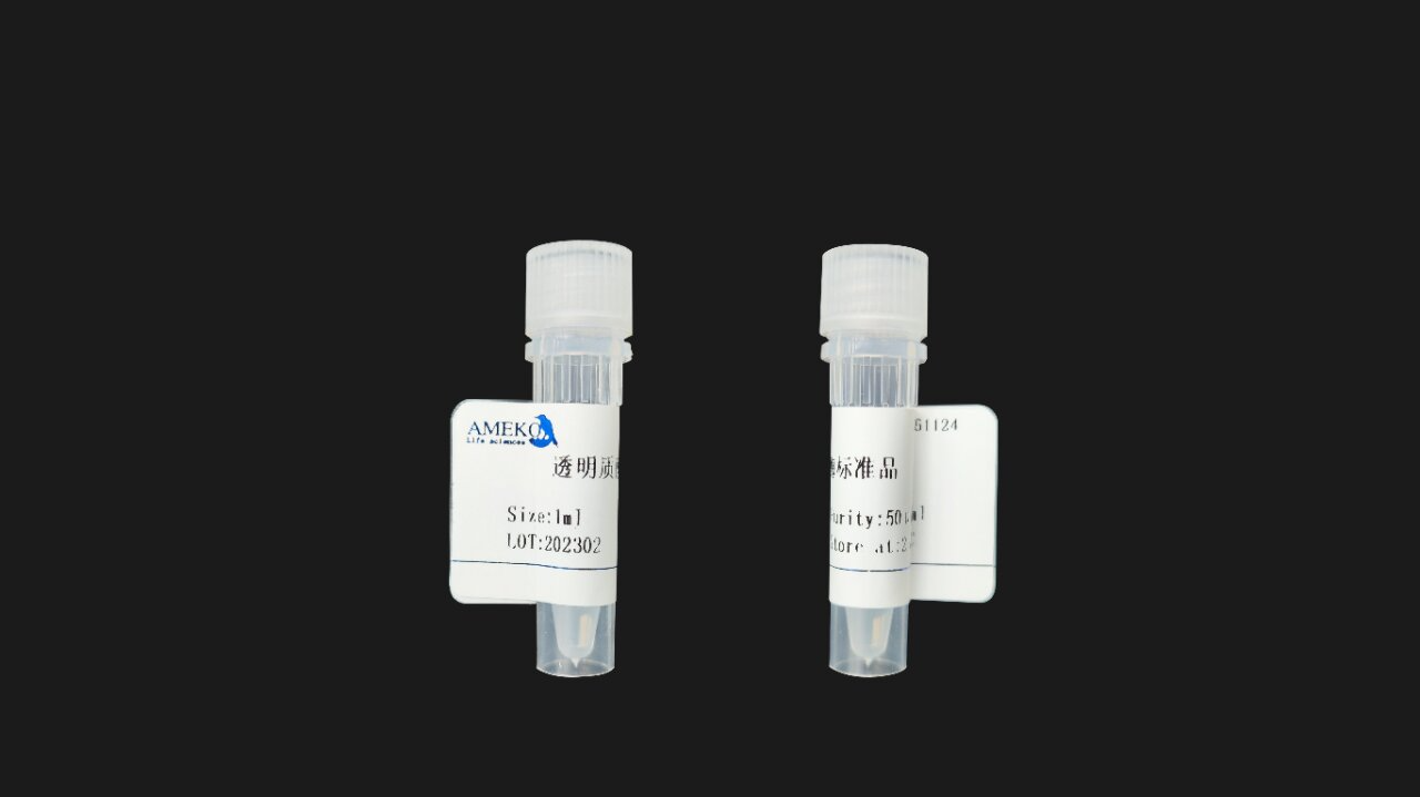 透明质酸酶的作用与用途 透明质酸酶(hyaluronidase,haase)是能使透明