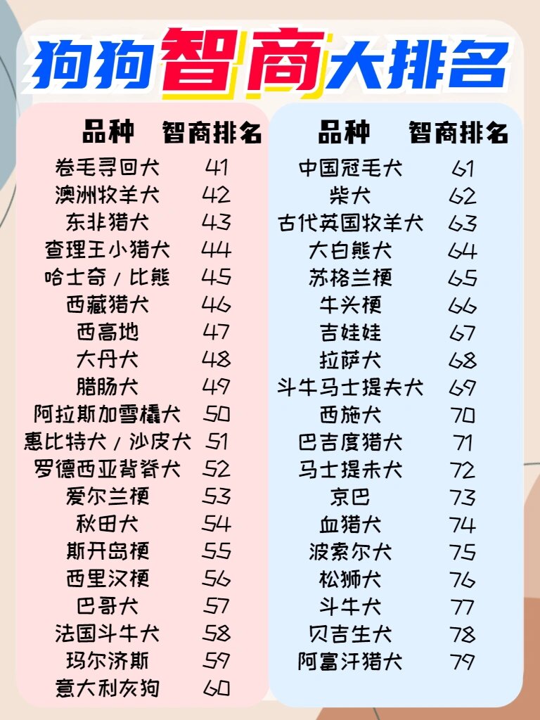 狗狗智商排名榜