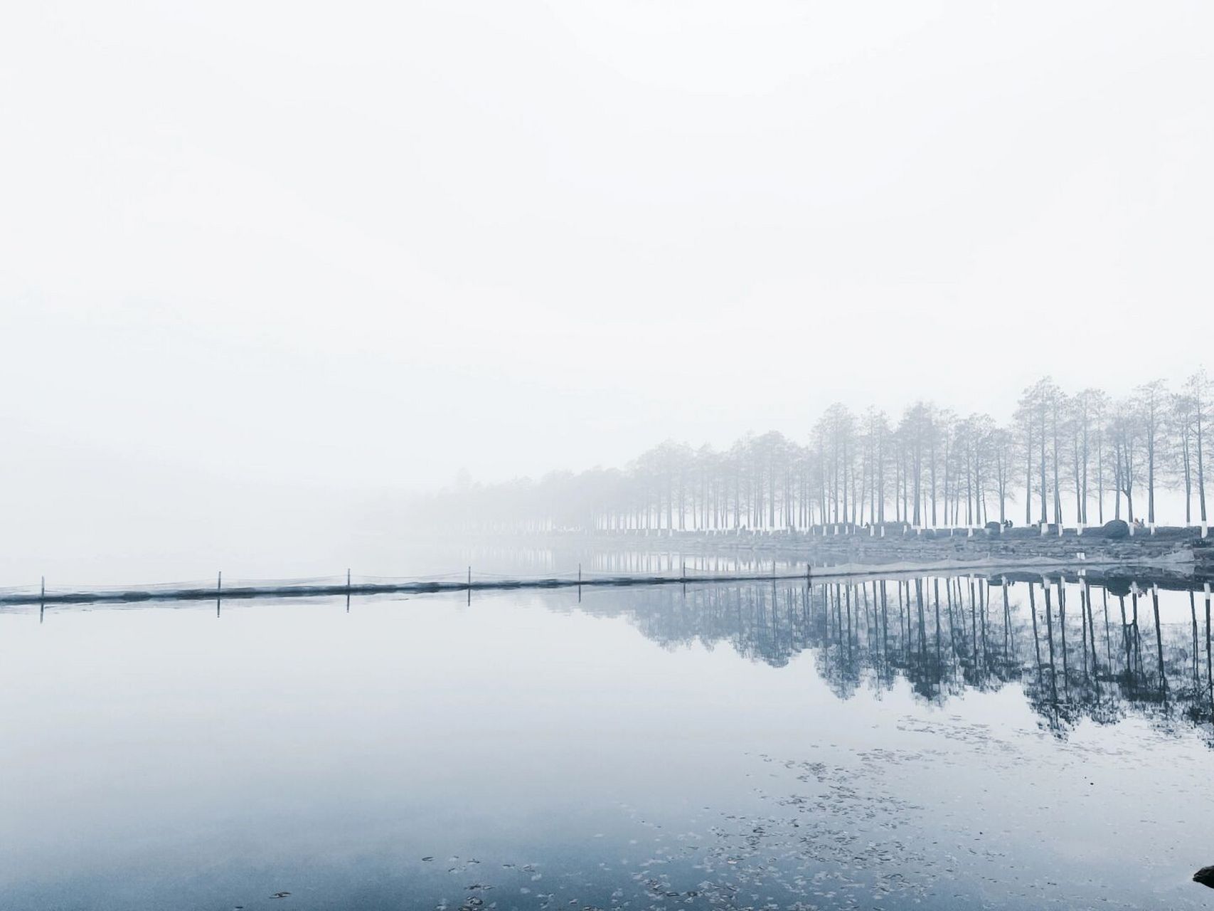 这天,有种朦胧美 虽然体感很不舒服[并不简单]