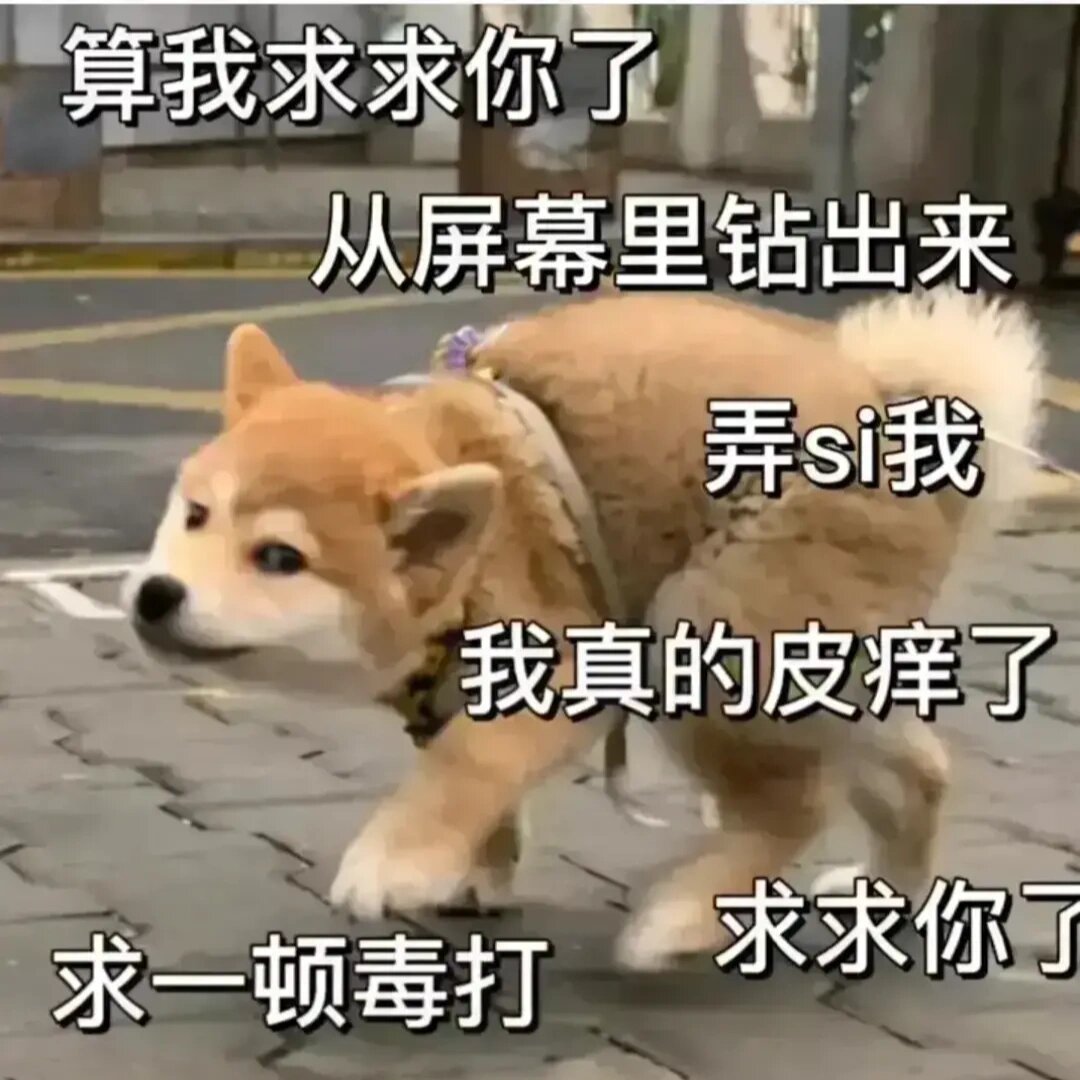 超火的皮痒痒表情包🐷🐷🐷