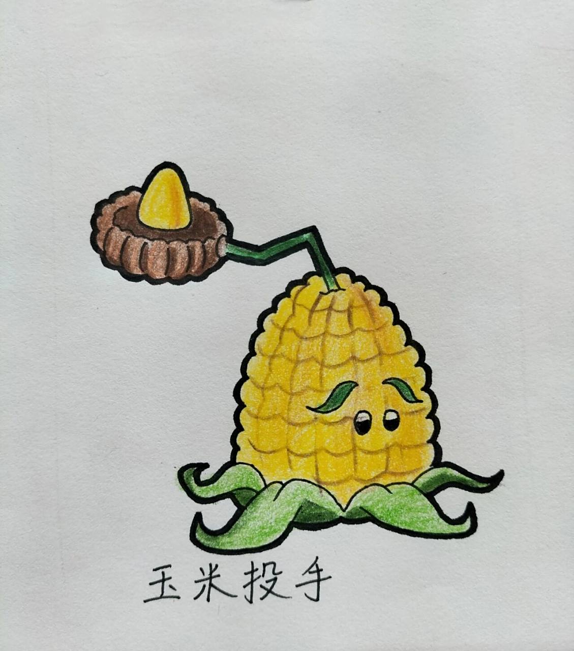 植物大战僵尸绘画玉米家族