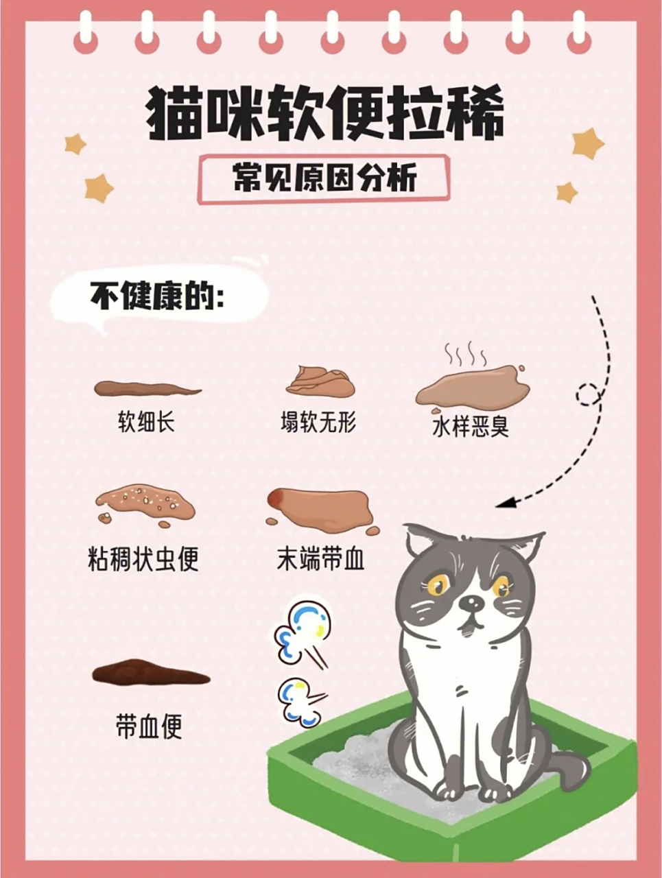 猫咪软便怎样区分?