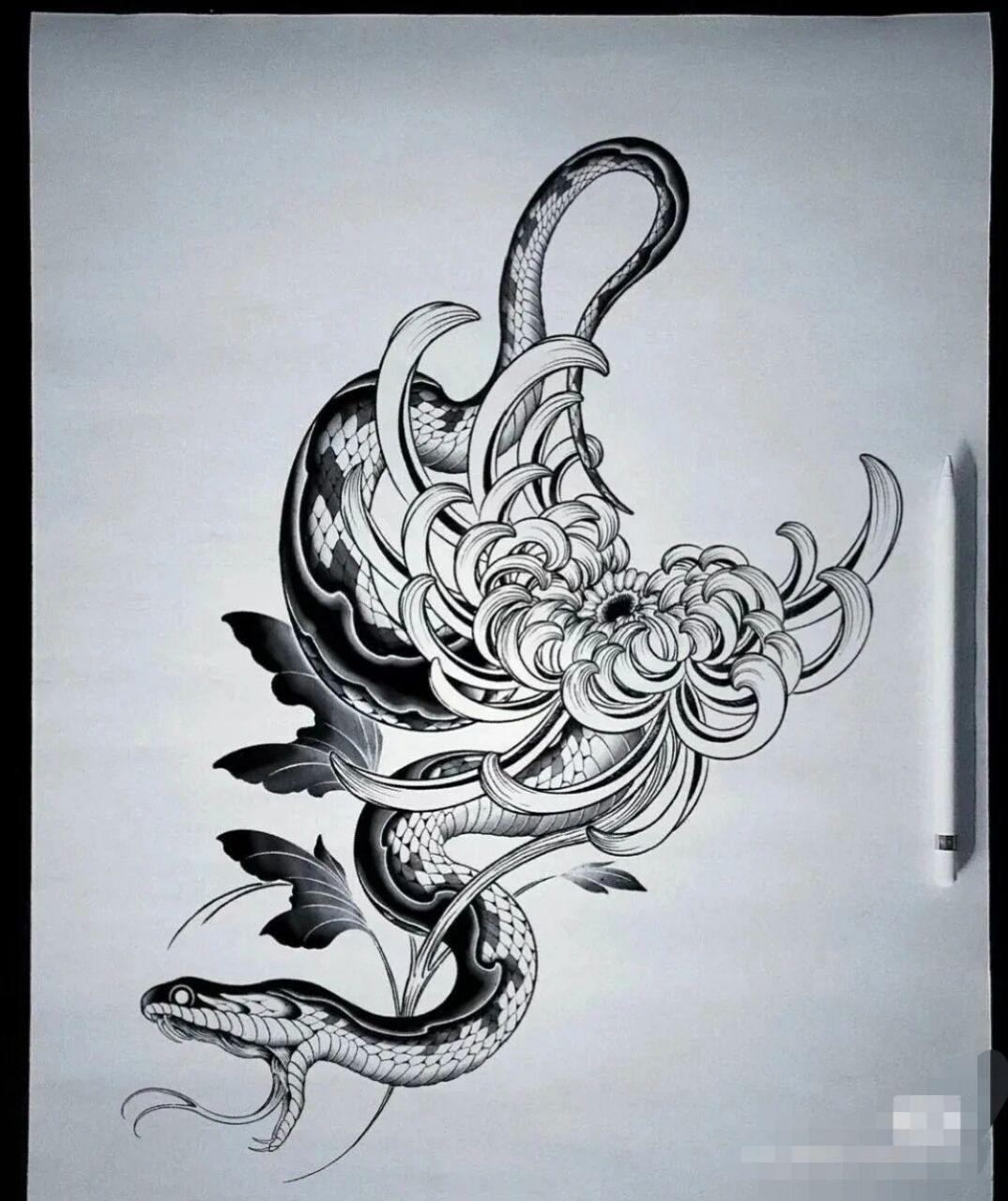 纹身图案素材 纹身手稿.蟒蛇纹身