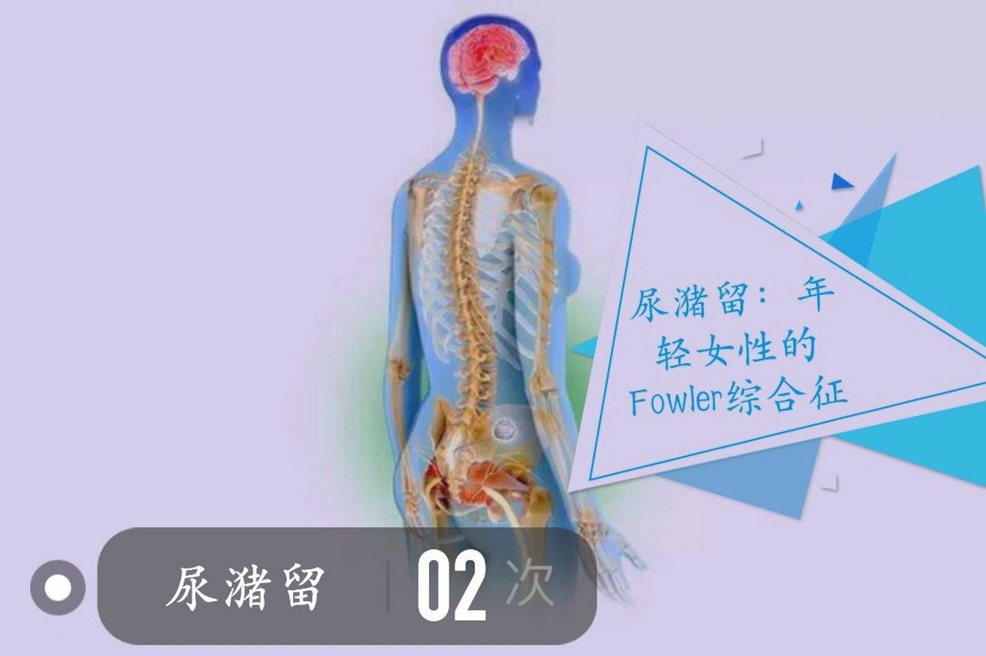 尿潴留:年轻女性的flower综合征 女性尿潴留少见,但不罕见,可能的病因