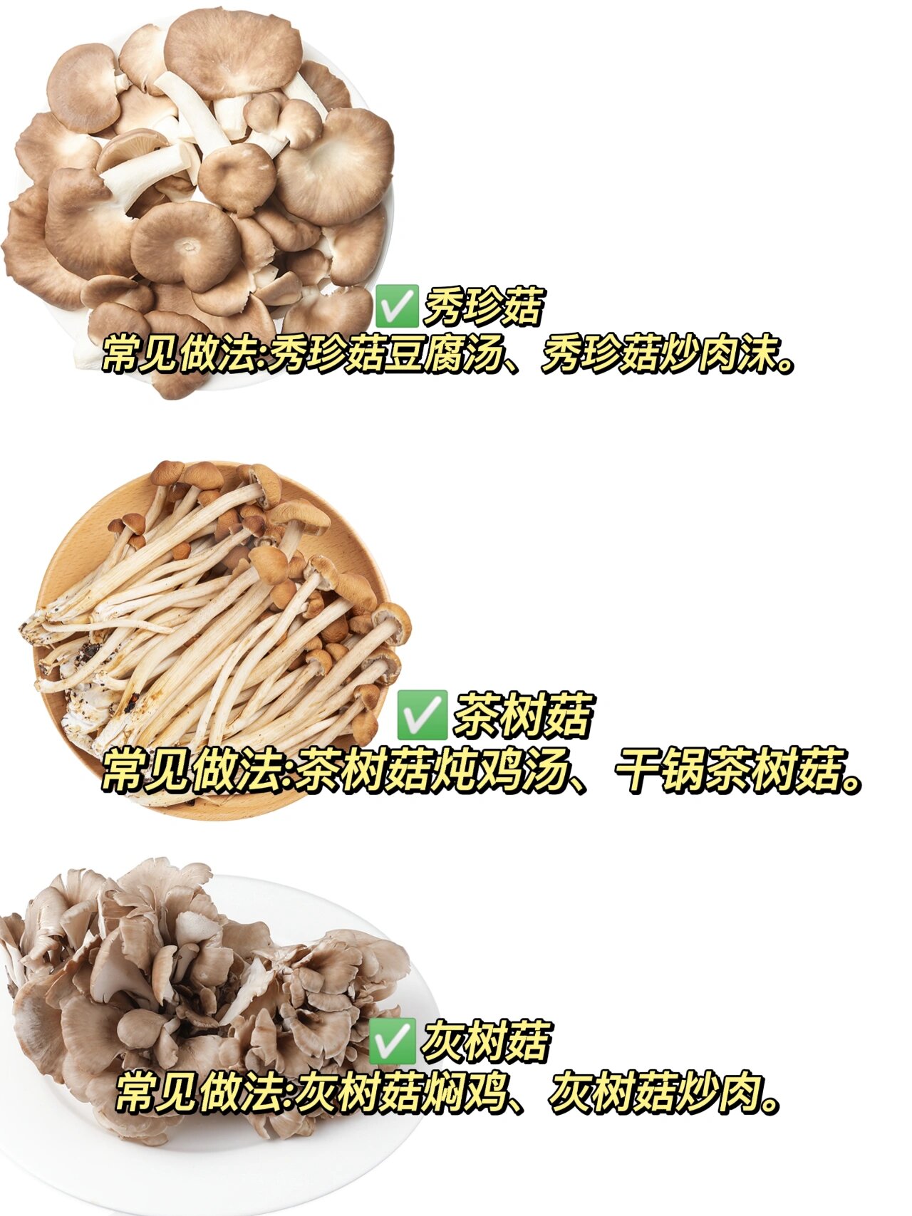 蘑菇种类大全及图片 12种常见食用菇