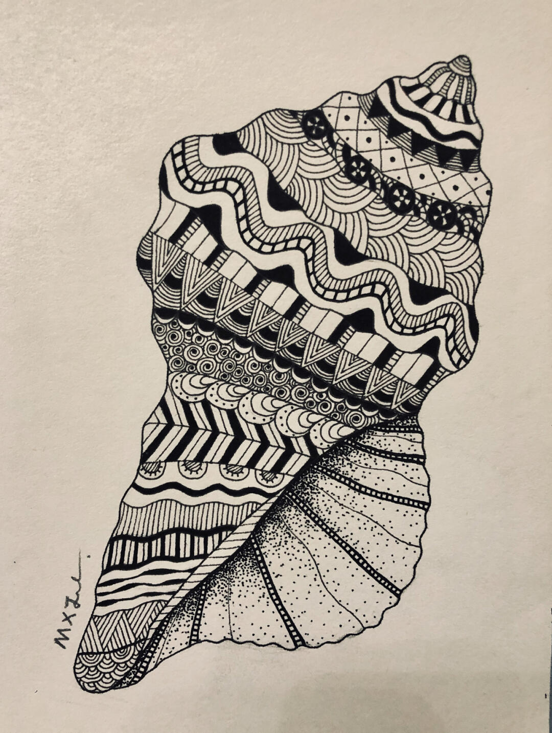 海螺黑白装饰画