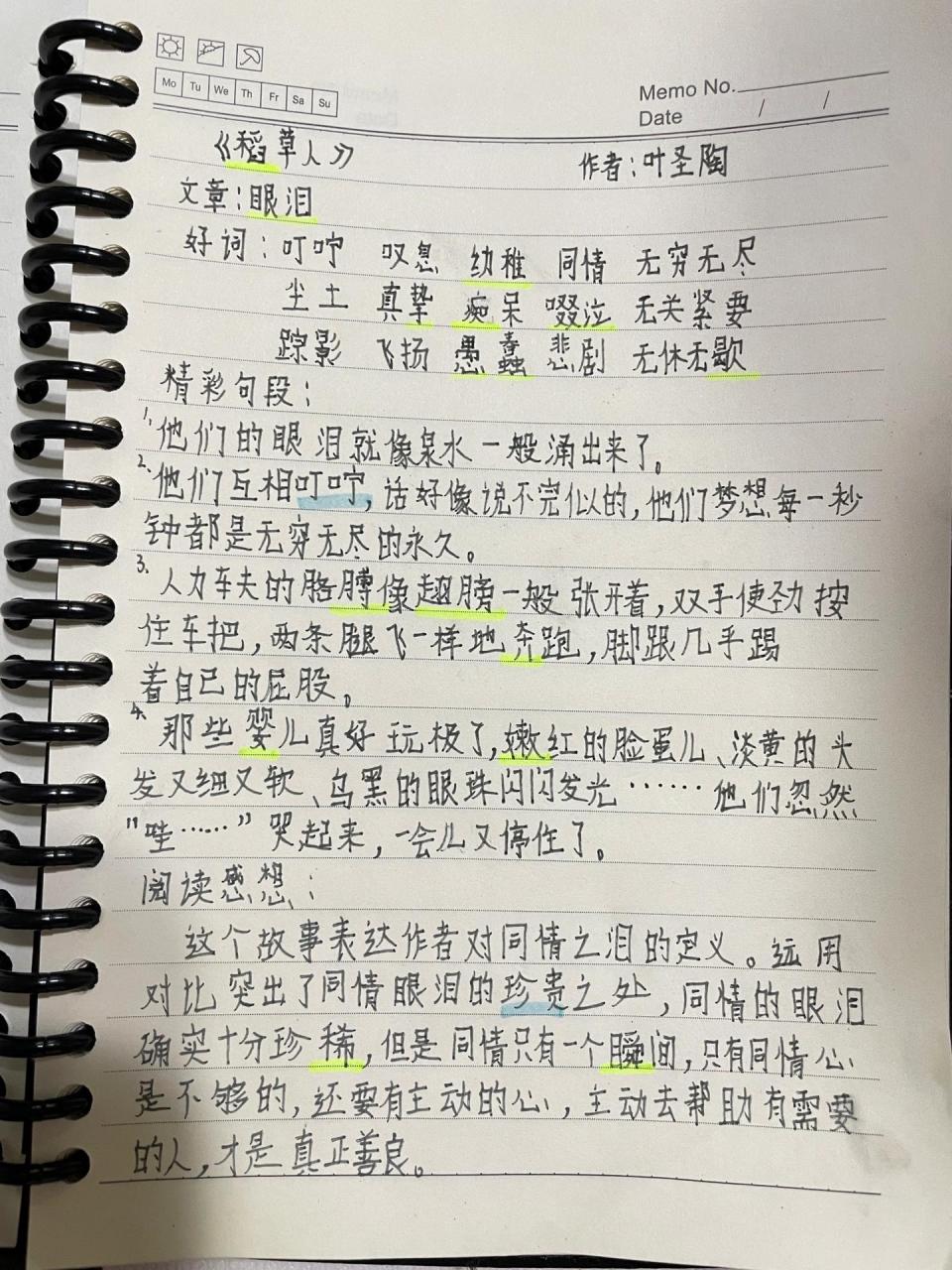 三年级读书笔记 稻草人读书笔记