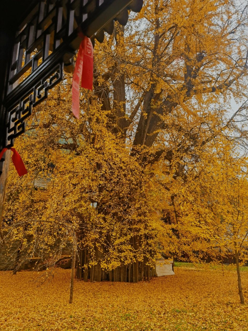 西安古观音禅寺图片