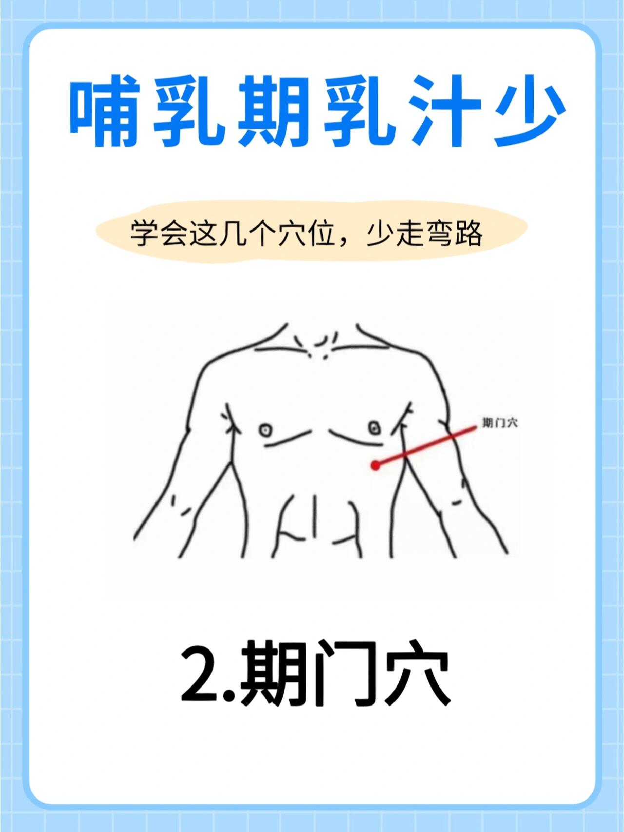 催乳的准确位置图片图片