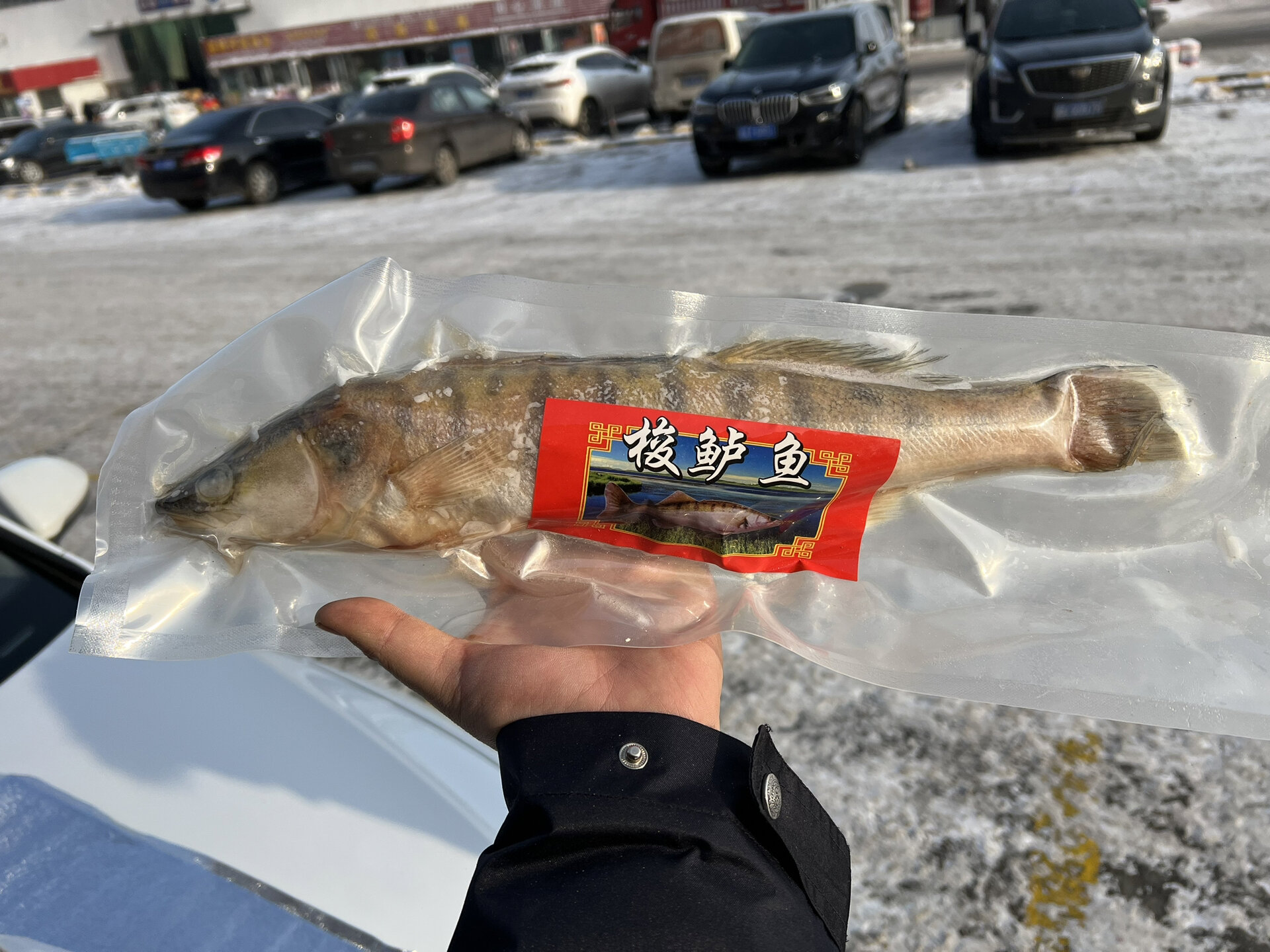 新疆阿勒泰福海野生冷水鱼大礼盒97 5公斤礼盒,野生冷水鱼 每种鱼都