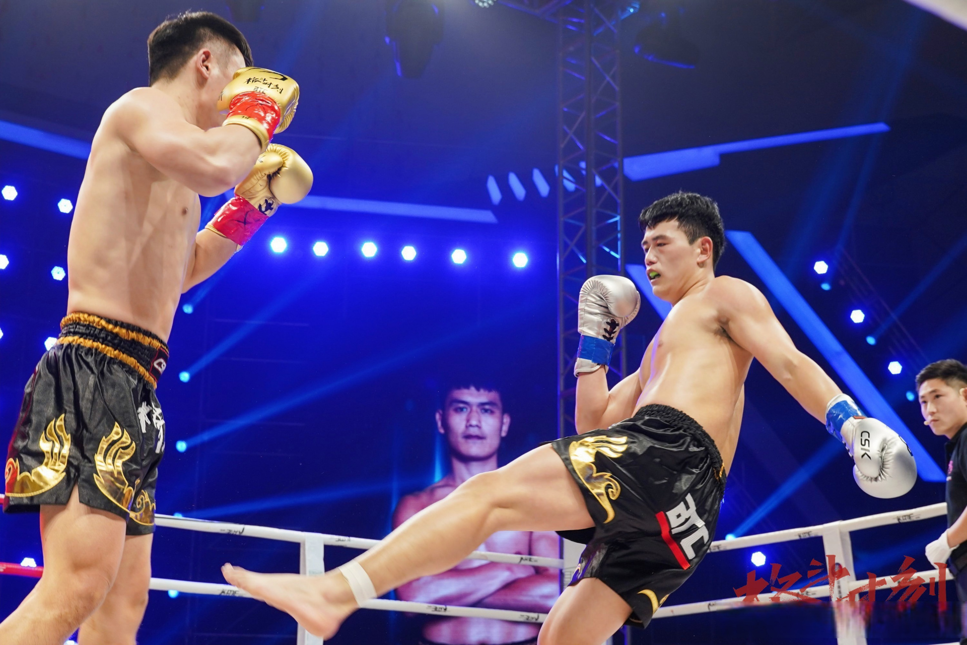 格斗时刻##搏击# 白鲨格斗全胜!拳拳到肉!